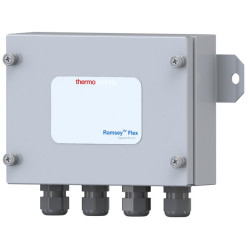 Ramsey™ Flex Belt Scale Integration Solution